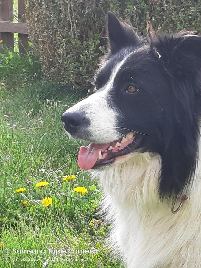 Ferienwohnung Am Bauernhof Zechner Heidi Flattach Bagian luar foto