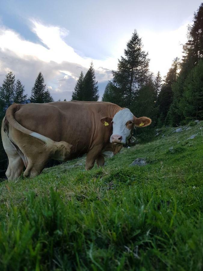 Ferienwohnung Am Bauernhof Zechner Heidi Flattach Bagian luar foto